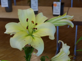 Foto: Dr. Peter Müller